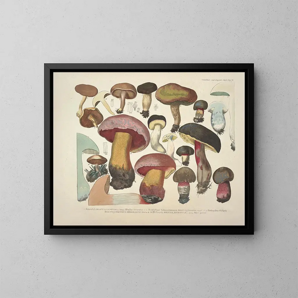 Rappresentazioni fedeli e descrizioni dei funghi commestibili, nocivi e sospetti Pl37 - J V Krombholz — quadro incorniciato alla parete