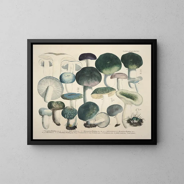Rappresentazioni fedeli e descrizioni dei funghi commestibili, nocivi e sospetti Pl67 - J V Krombholz — quadro incorniciato alla parete