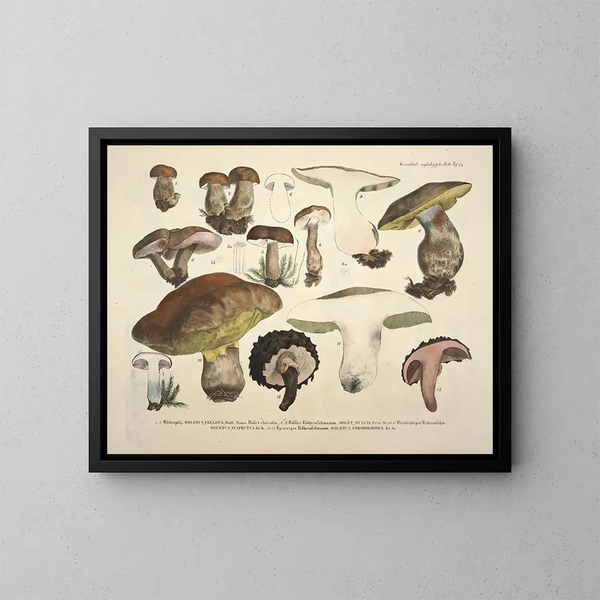 Rappresentazioni fedeli e descrizioni dei funghi commestibili, nocivi e sospetti Pl74 - J V Krombholz — quadro incorniciato alla parete