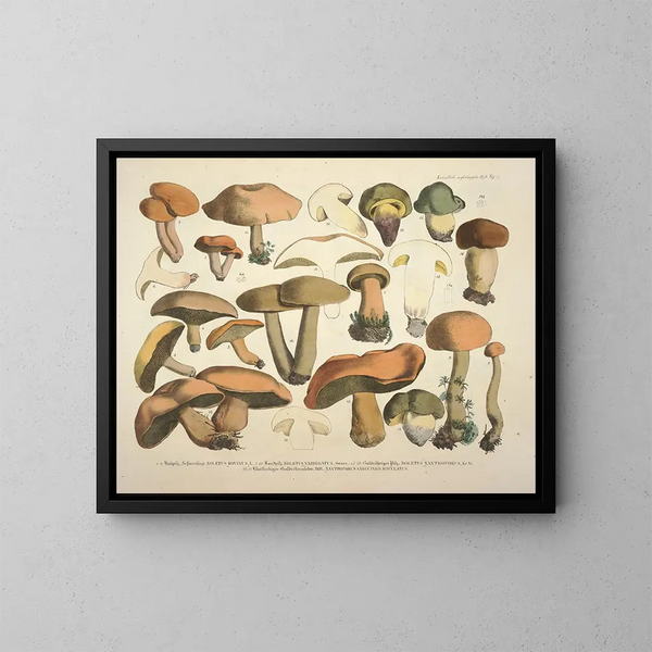 Rappresentazioni fedeli e descrizioni dei funghi commestibili, nocivi e sospetti Pl75 - J V Krombholz — quadro incorniciato alla parete
