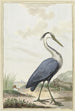 Heron cenere - Jabes Heenck — vista dell’opera