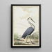 Heron cenere - Jabes Heenck — quadro incorniciato alla parete