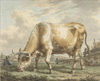 Vache paissant - Jacob Cats — vista dell’opera