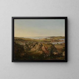 Jacob Coning - View of Moss.webp
