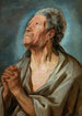 Studio di un vecchio con le mani giunte - Jacob Jordaens — vista dell’opera