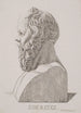 Buste di Socrate - Jacob Kornerup — vista dell’opera