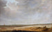 Paesaggio con campi di mais - Jacob Salomonsz van Ruysdael — vista dell’opera