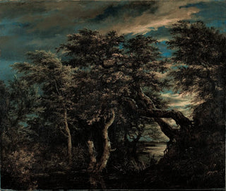 Jacob van Ruisdael - A Marsh in a Forest at Dusk.webp