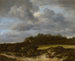 Campo di mais - Jacob van Ruisdael — vista dell’opera