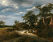 Paesaggio - Jacob van Ruisdael — vista dell’opera