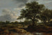 Paesaggio con un villaggio in lontananza - Jacob van Ruisdael — vista dell’opera