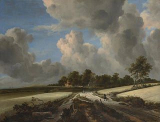 Campi di grano - Jacob van Ruisdael — vista dell’opera