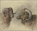 Due pecore - Jacob van Strij — vista dell’opera