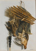 Nature morte in trompe-l'œil con due quaglie, un retino per uccelli e un fischietto - Jacobus Biltius — vista dell’opera