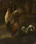 Volailles domestiques - Jacomo Victors — vista dell’opera