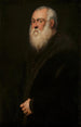 Uomo con la barba bianca - Jacopo Tintoretto — vista dell’opera