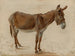 Un asino - Jacques-Laurent Agasse — vista dell’opera