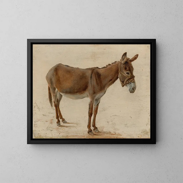 Un asino - Jacques-Laurent Agasse — quadro incorniciato alla parete