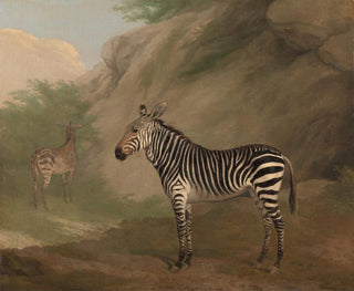 JacquesLaurent Agasse - Zebra.webp