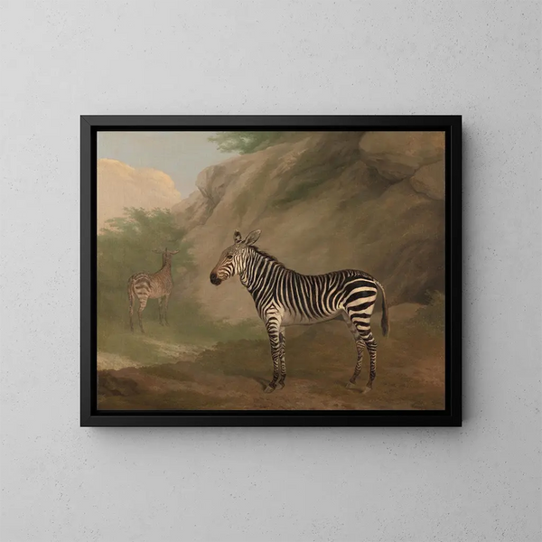 Zèbre - Jacques-Laurent Agasse — quadro incorniciato alla parete