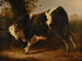 Toro arrabbiato - Jacques-Raymond Brascassat — vista dell’opera