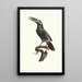 L'Aracari Koulik mâle de la Guyane - Jacques Barraband — quadro incorniciato alla parete