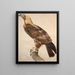 L'Aigle de Thèbes - Jacques Barraband — quadro incorniciato alla parete