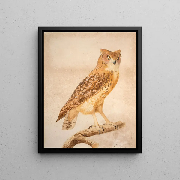 Le Hibou grand-duc du Pharaon - Jacques Barraband — quadro incorniciato alla parete