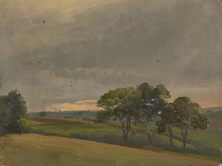 Prairie du soir avec des fleurs - Jakob Becker — vista dell’opera
