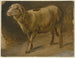 Moutons - Jakob Becker — vista dell’opera