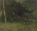 Turf - Jakob Becker — vista dell’opera
