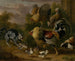 Un chat parmi des coqs - Jakob Bogdani — vista dell’opera
