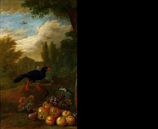Jakob Bogdny - Two Macaws a Cockatoo and a Jay with Fruit.webp