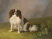 Ritratto di un cocker spaniel King Charles in un paesaggio - Jakob Philipp Hackert — vista dell’opera