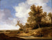 Una strada vicino ai cottage - Jacob van Moscher — vista dell’opera