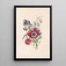 Anémone campanule tradescantia - James Ackerman — quadro incorniciato alla parete