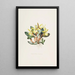Brasavola Glauca - James Bateman — quadro incorniciato alla parete