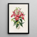 Sobralia Macrantha - James Bateman — quadro incorniciato alla parete