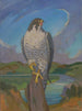 Falco pellegrino - James C. Kulhanek — vista dell’opera
