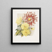 Daisies - James Callowhill — quadro incorniciato alla parete