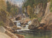 su l'Ausable - James David Smillie — vista dell’opera