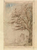Acacia - James Ensor — vista dell’opera