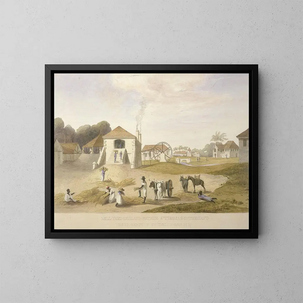 Corte del mulino, dominio Holland, Saint-Thomas à l'Est - James Hakewill — quadro incorniciato alla parete