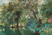 Alberi sopra il fiume Frome a Stapleton - James Jackson Curnock — vista dell’opera