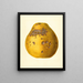 Citrus limon Ponderosa - James Marion Shull — quadro incorniciato alla parete