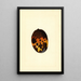 Mangifera indica Fernandez - James Marion Shull — quadro incorniciato alla parete
