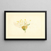 Prunus domestica Burbank - James Marion Shull — quadro incorniciato alla parete