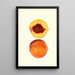 Prunus persica Shipper - James Marion Shull — quadro incorniciato alla parete