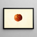 Prunus persica Sutler Cling - James Marion Shull — quadro incorniciato alla parete