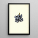 Vaccinium corymbosum Stanley - James Marion Shull — quadro incorniciato alla parete